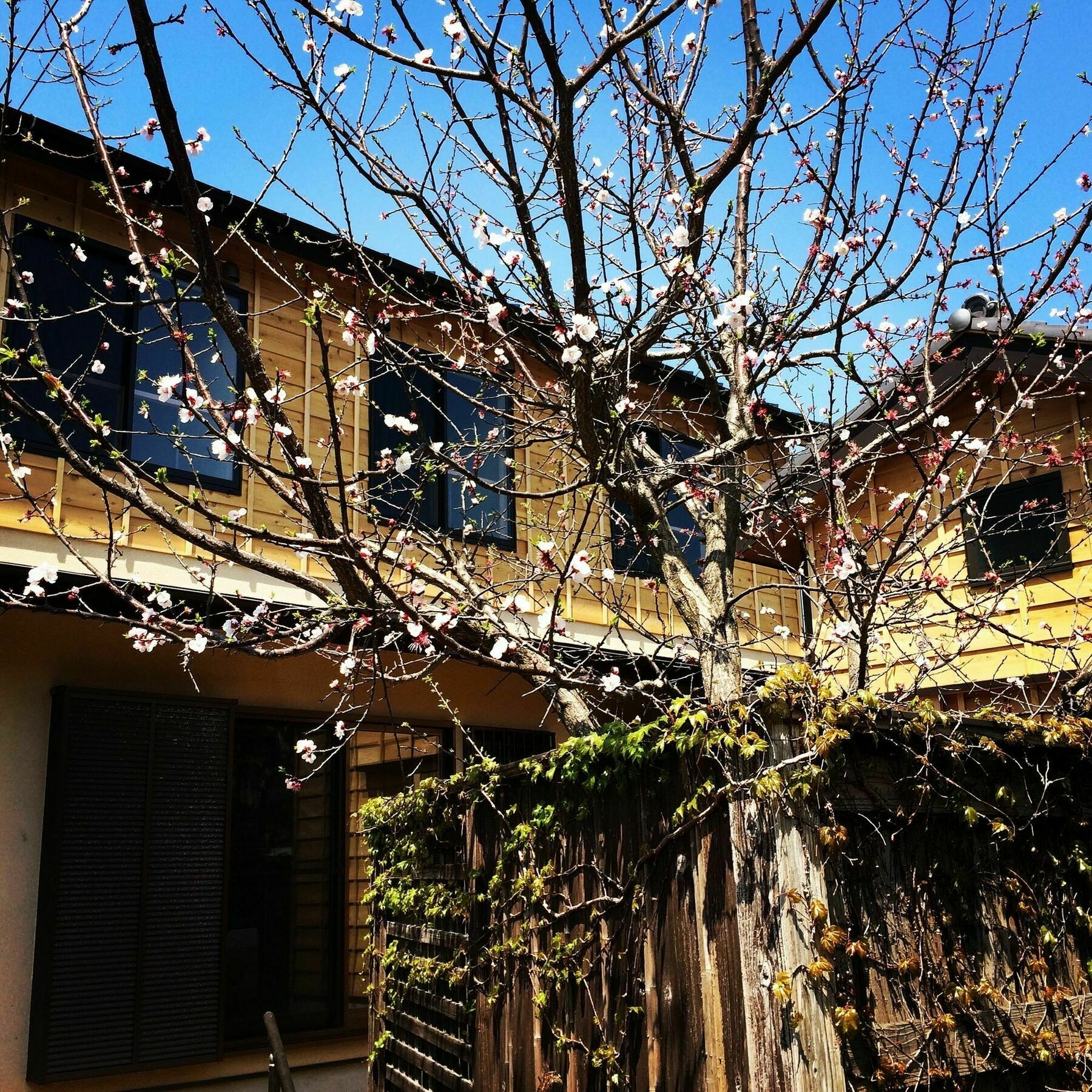 Guest House Kamakura Zen-Ji Bagian luar foto
